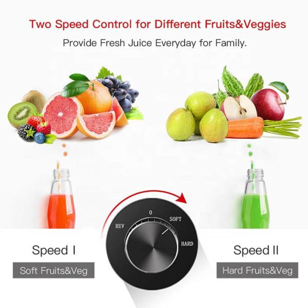 Fruit  Vegetable Screw Cold Press Masticating Juice Extractor Filter Free Electric