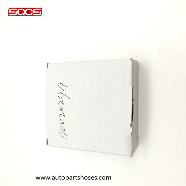 0002020919 Automotive Body Parts M112 M272 M113 M273 V Belt Pulley For W221 W164 W251