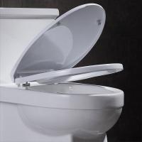 L'une seule pièce standard américain d'héritage a prolongé la fermeture douce Seat 29in de toilette