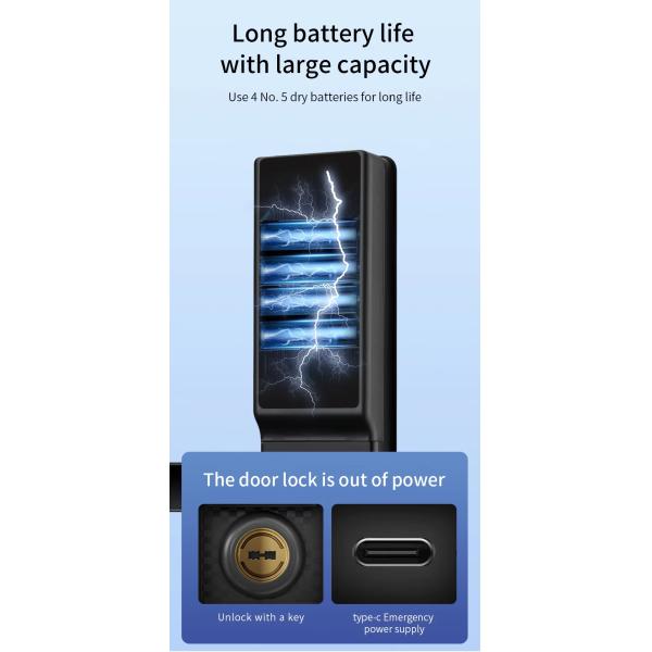 Qleung S819-2Max Smart Door Lock With Card Key Code Fingerprint Recognition Video Calling For Home Apartment For Wooden Door