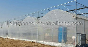 Hydroponic Greenhouse Strawberry Length 30-100m Suitable for Vegetable Fruits Flowers
