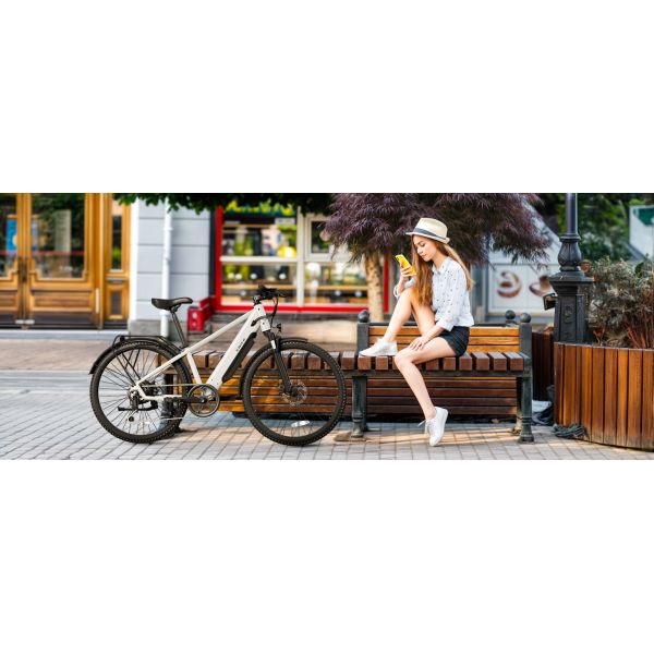 TST M614 250W Electric City Bike for Adults 36V/10.4Ah Removable Battery 7 Speed Steel Frame Electric City Bike for Urban Use
