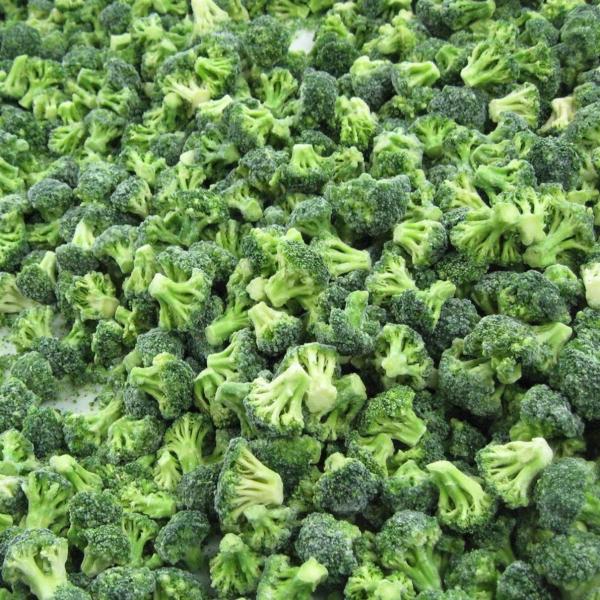 High Quality IQF Frozen Broccoli Ready Stock for Restaurants Wholesale Price