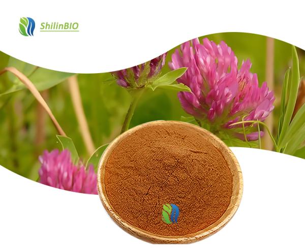 Red Clover Isoflavones
