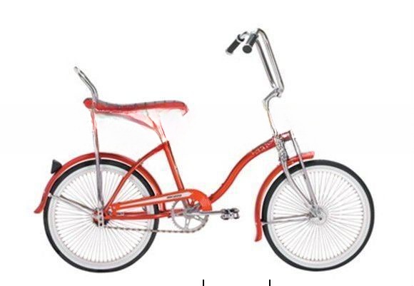 19KGS Gloss Weight 20 Low Rider Bicycle with Steel Fork
