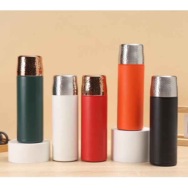 Vacuum Insulated Stainless Steel Water Bottle with Tea Filter Excellent Insulation