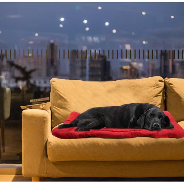 Хлопок одеяла 5cm толстый PP кота перемещения водоустойчивый на открытом воздухе