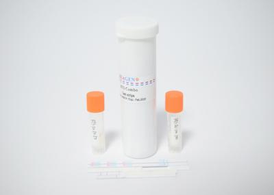 Strip Test Kit Manufacturing Technical Training Support Export Business