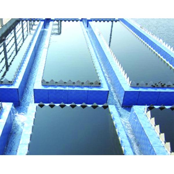 Бактериологические отравляющие вещества очистки сточных вод отростчатые, бактерии в очистке сточных вод