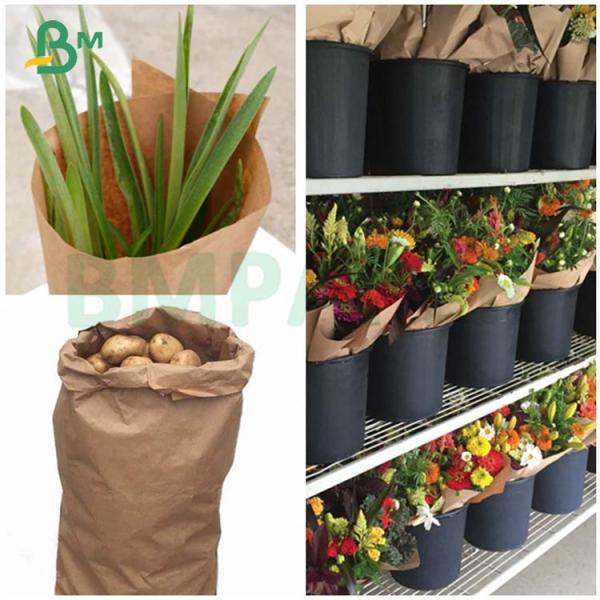 Good Durability 65g 80g Unbleached Wet Strength Kraft Paper For Plant Nursery