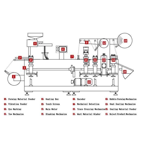 Capusle Packing Alu Alu  Blister Packagine Machinery Multi functional