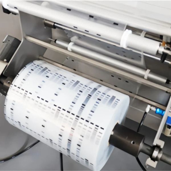 6 Lanes Multi Lane Packing Machine Liquid Paste Strip Packaging Machine 220V