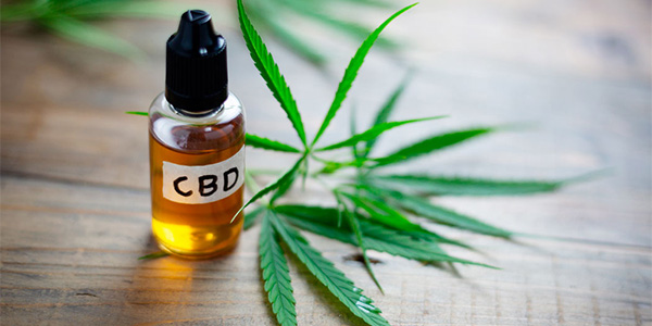 CBD Small Decanter Centrifuge Screw 4kw Oil Extraction