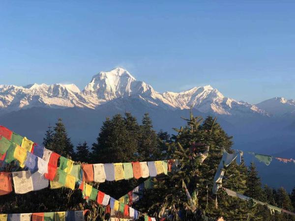 Easy Grade Nepal Trekking Tour 10 Day'S Annapurna Panoramic Trek