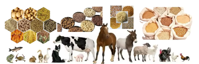 Wholesale Cheap Price High cost performance Dog Cat Fish Feed Extruder/Feed Processing Machines Pet Food Processing/Automatic fish food making machines for Sale