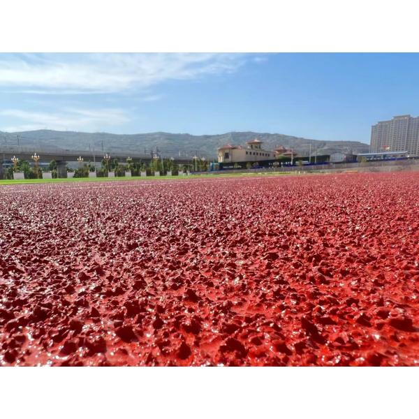 Сертифицированная IAAF 13 мм беговая трасса для школьных спортивных стадионов