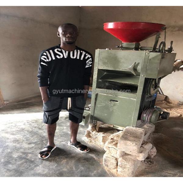 Small Mini Rice Milling Machine 1 Ton Capacity with Automatic Paddy Husker