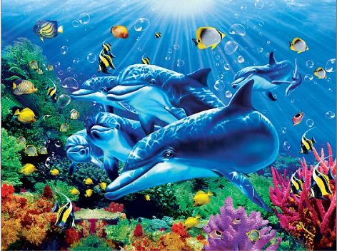 3d Depth 50 x 70cm Large 3D Lenticular Pictures With 0.6mm Pet Printing