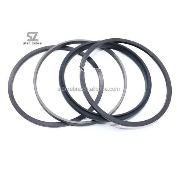 Piston Seal Kit SPGW for Working Tempereture -40--120C