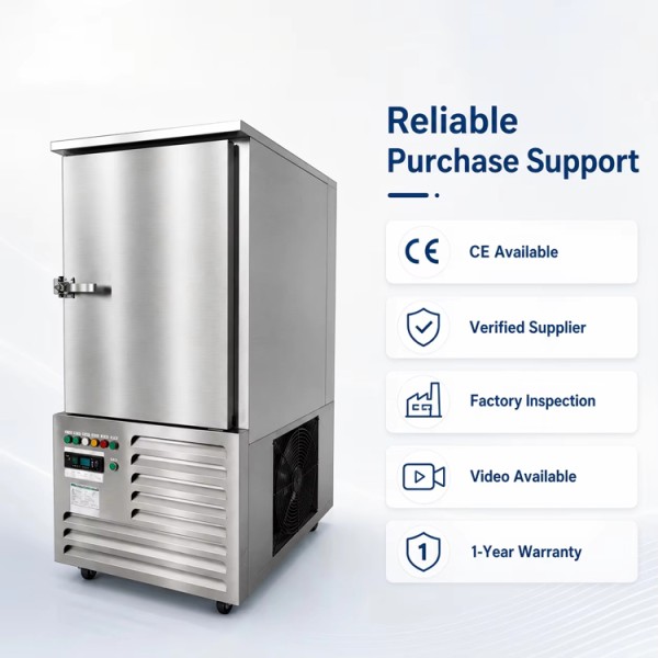 300L Vertical Blast Freezer 10 Trays Quick Freezer for Seafood & Food Industry