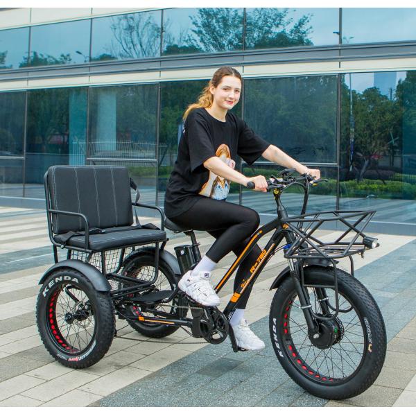 Front Hub Motor 750W 21AH Lithium Electric Tricycle for 2 People 24 Snow Tire 40KM/H