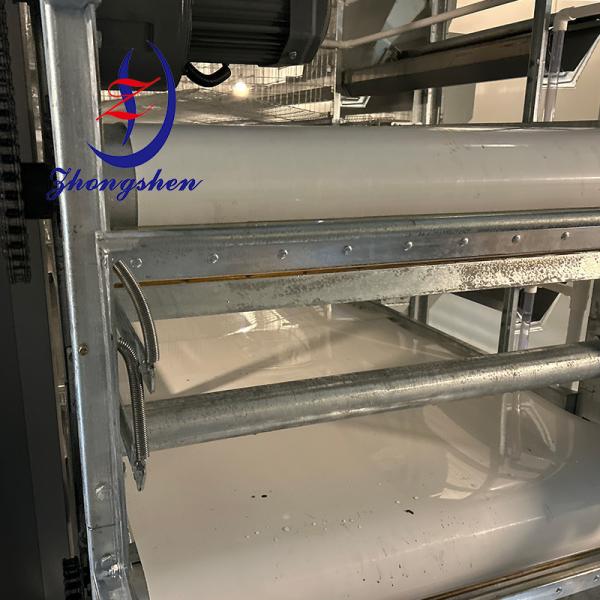 Zhongshen Fertile Belt Supplier China Best Fertile Conveyor Belt Supplier