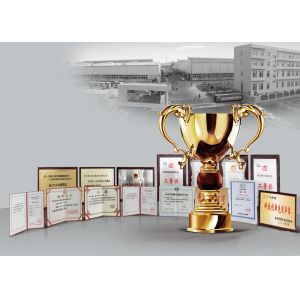 Xuzhou Truck-Mounted Crane Co., Ltd Certifications