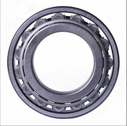 Oil Lubrication Cylindrical Roller Bearing Double Row Durable With C2 Clearance