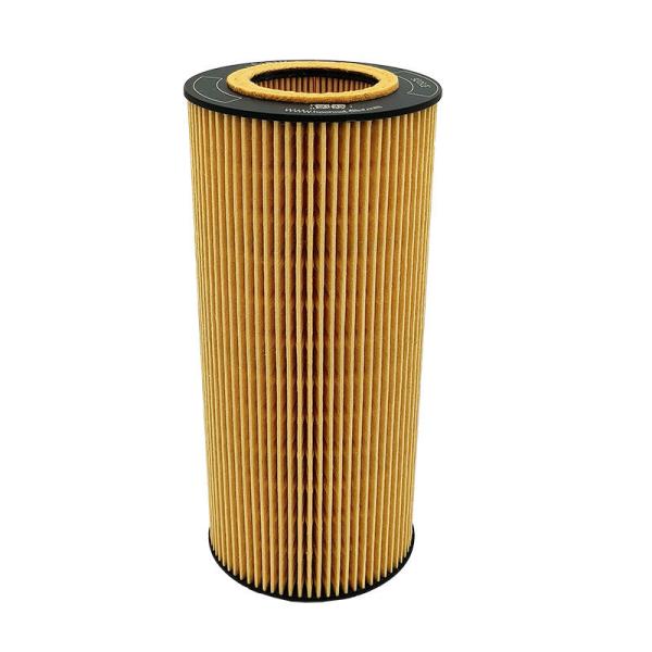 High Performance Automotive Oil Filter E181HD252 LF4008 A9361800009 for Replacing Truck Oil Filters with Automotive Parts
