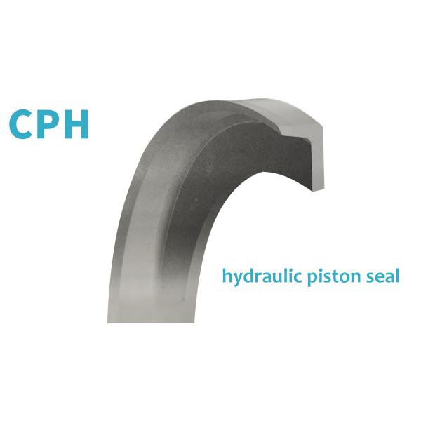 CPH импортировало уплотнения поршеня уплотнения гидравлического масла для цилиндров уплотнения гидравлического масла