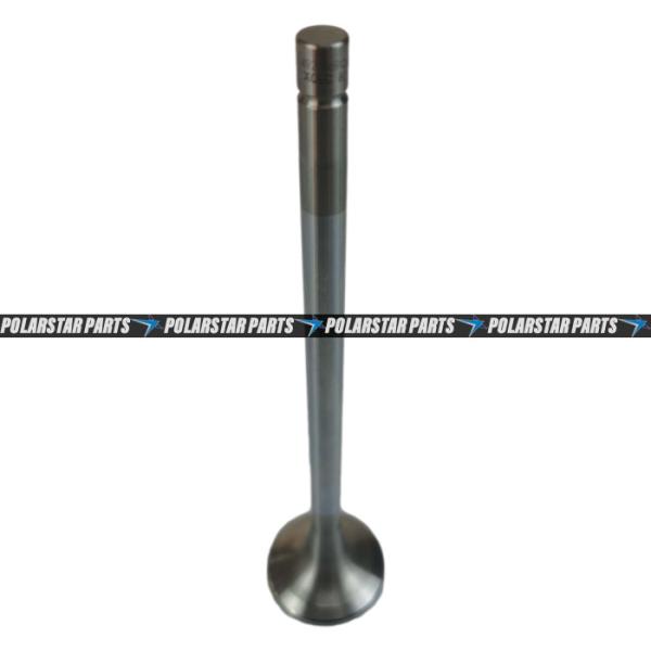 4926069 Exhaust Intake Valve M11 QSM11 ISM11 Diesel Engine 3417779