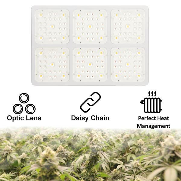 2900μMol/M²/S  Led Cob Grow Lightsl With UV IR Full Spectrum Long Using Lifetime