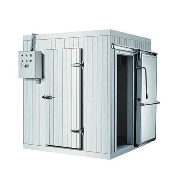 Supermarket/Shopping Mall Large Frozen And Refrigerated Fruit/Vegetable Storage Cold Storage