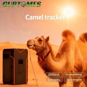 Camel GPS Tracker