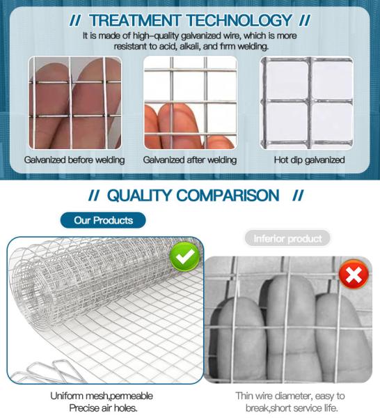 Direct Sale Galvanized Welded Wire Mesh Roll for Bird Cage Rabbit Customized Width