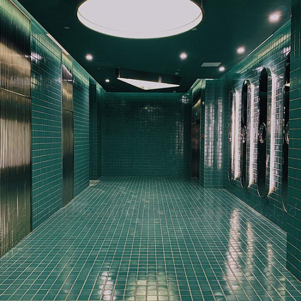 Бассейна рыб плитки мозаики бассейна квадрата синь земли стены ландшафта крытого керамическая на открытом воздухе