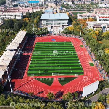 IAAF Approved Prefabricated Rubber Running Track Tartan Tracks Athletic Track For Professional Sport Venues