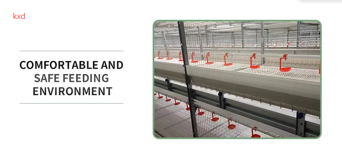 Corrosion Resistant Hot-dip Galvanized Layer Chicken Cage with High Egg Laying Rate for Poultry Farming