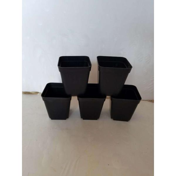 70*80 mm Coex Black Round Azalea Pots Nursery Pots Seedling Plant Flower Gardening 100