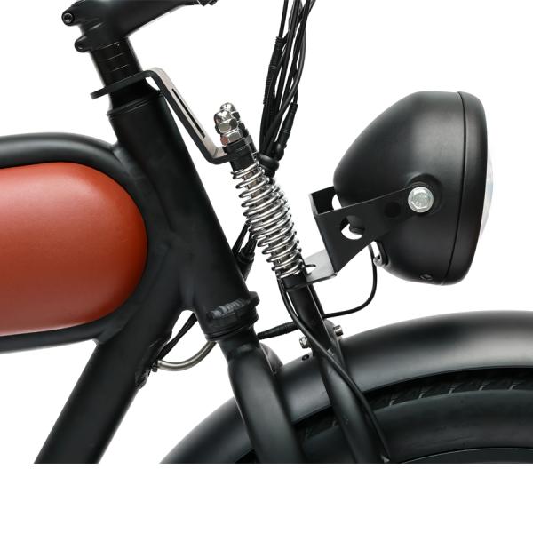 48V750W Bafang Motor Electric Bike DOMANCA Customized Fat Tire Electric Motorcycle