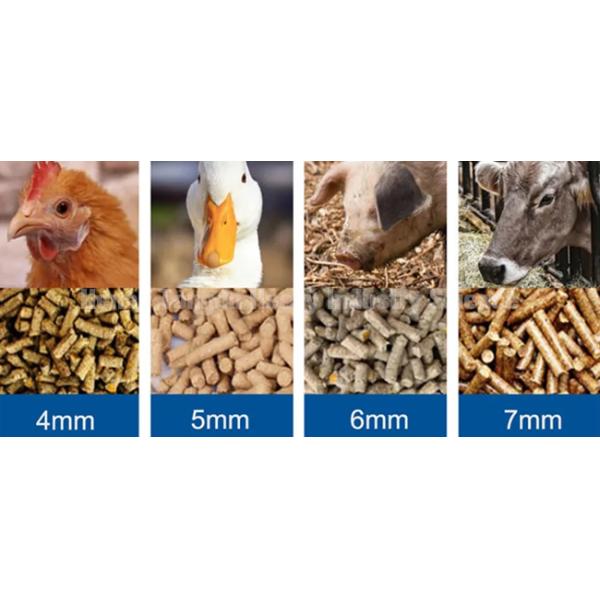 450kg/H Animal Feed Pellet Machine Poultry Feed Pellet Mill Pelletizer Machine