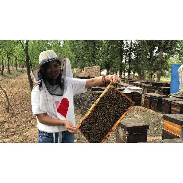 Miel de sidra natural 100% puro, ámbar ligero, 35 kg en un cubo