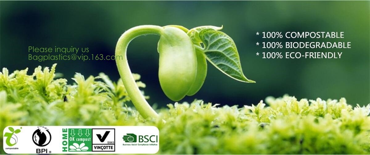 майцена сделала 100% biodegradable compostable изготовленный на заказ напечатанный полиэтиленовый пакет с собственным логотипом, ecofriendly упаковывая ба футболки