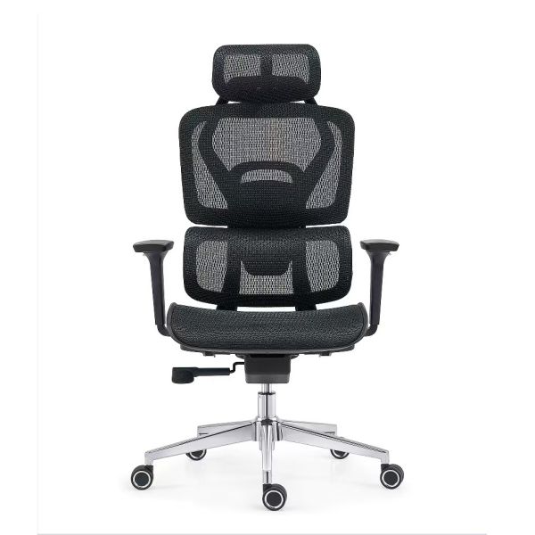 Sports Modern Mesh Fabric Ergonomic Office Chair Back Height Adjustable