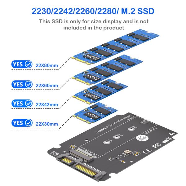 M.2 Key B to SATA III SSD Adapter for 2.5 Inch Enclosure