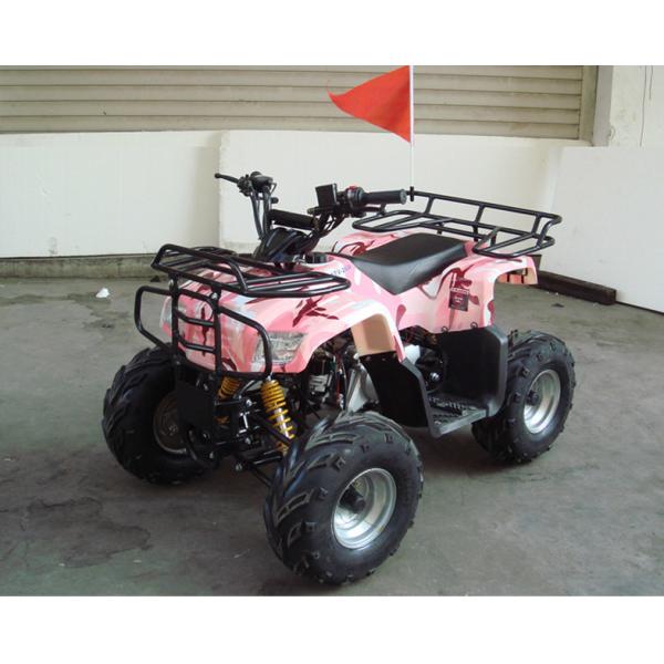 Course simple du vélo SHINERAY 4 de quadruple du cylindre 110cc Atv avec le