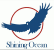 Shenzhen Shining Ocean International Logistics Co., Ltd.