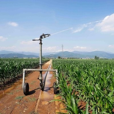Advanced Irrigation System Direct Agricultural Hose Reel Sprinkler Traveling Irrigator for Effective Farm Irrigation