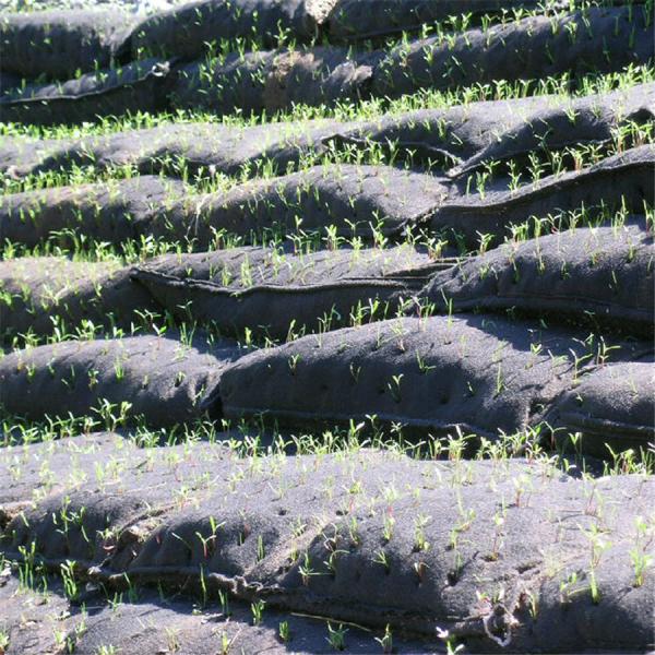 Soft Geotextile Reinforcement Fabric Ideal for Flood Control River Bank and Costal Engineering Projects Offering Soil Reinforcement