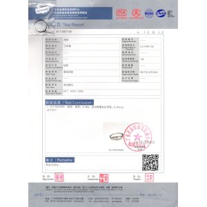 Shenzhen Chenqi Jewelry Co.,Ltd Сертификации